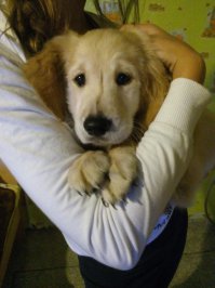 мои