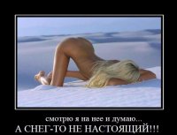 Фото, сделанные в нужный момент с отпадными комментариями