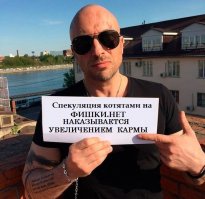 25 смешных котов, которые явно перебрали с кошачьей мятой