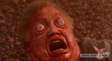 20 классных новогодних подарков, которые бы каждый хотел найти под ёлкой