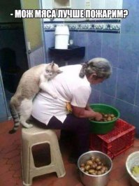 Фотоподборка за 23.12.2015