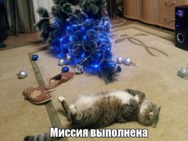 Миссия не выполнена - тапки чистые.