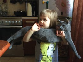 20 милых фотографий, доказывающих, что каждому ребёнку нужно домашнее животное