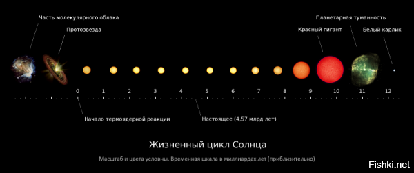 Насколько известно ученным, с момента термоядерной реакции прошло 4,57 миллиарда лет, и оно продлиться в комфортном для нас размерах и температуре еще примерно столько же, ну может на миллиардик меньше, прежде чем начнет расширяться и потихоньку умирать. С момента появления человека на нашей планете прошло всего каких то 2 миллиона лет. Это всего навсего 0.04 % от времени жизни солнца. А цивилизация развивается не в арифметической, а в геометрической прогрессии. Мы за последние 15 лет добились намного большего, чем за предшествующие 50 лет (условно). А всего через тысячу лет мы, вероятно и к планетам другим полетим, да и вообще будут какие нибудь немыслимые технологии. Если в конец не уничтожим самих себя и свою планету. Вот на марсе тоже есть жизнь, но это всего лишь бактерии и простейшие организмы, микробы. И возможно до конца термоядерной реакции цивилизация там никогда и не появится.