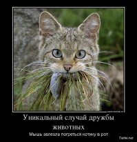 Россия, какой вы ее еще не видели 