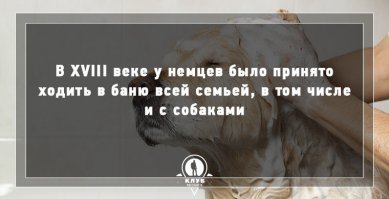 ЧТООООО???
Какие нафиг германские бани. В Европе вообще до XIX века мыться было греховным занятием.

Для любопытных: