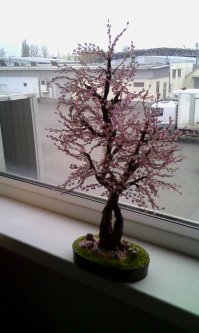 ну хорошо же когда читатели показывают работы выполненные своими руками=) я вот недавно сотворила "Сакура", сотруднице на продажу, а она кому то дарить будет