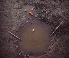 Вот что случится, если пролить горячий чай у полярного круга при температуре в 40 градусов ниже нуля