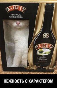 Фотоподборка за 24.12.2015