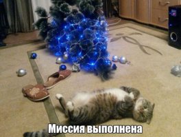 Фотоподборка за 24.12.2015