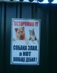 Как отвадить непрошеных гостей