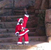 А что тут Барак Обама делает?