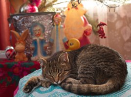 20 невероятных душевных и теплых картин, наполненных ароматом праздникa