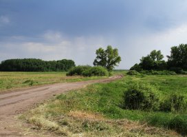 Дорога в Росташевку