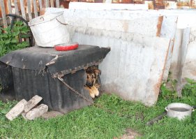 Деревня Расташевка