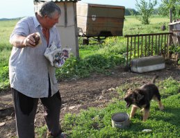 Деревня Расташевка