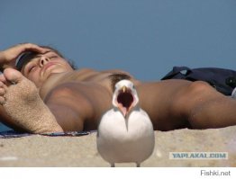 17 абсолютно невинных фотографий, наталкивающих на грязные мысли