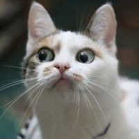 Очень интересные исторические фото, которые обязательно нужно увидеть