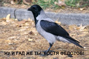 Все, прощай свобода))