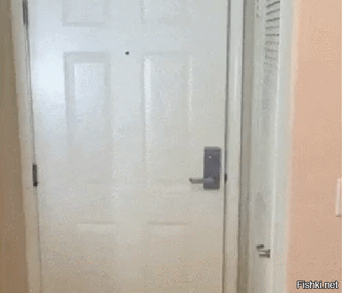 Очень неожиданные ситуации, в которых не знаешь, как себя вести 