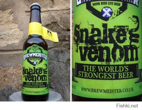 Самое крепкое пиво в мире содержит 67,5% спирта и называется «Змеиный яд»
