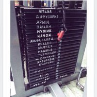 Расскажите пожалуйста, кто такая дифузория???!!!