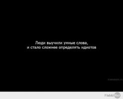 25 перлов преподавателей с отличным чувством юмора