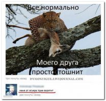Смешные комментарии и высказывания из социальных сетей 