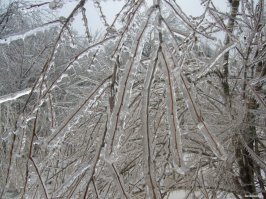 Я тоже помню)))