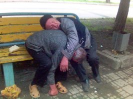 Морские и сухопутные