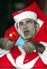 К Новому году готовы: 100 животных, которые уже нарядились к праздникам