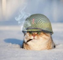 Лучше фотошопа: 30 фотографий, снятых точно вовремя (31 фото) Да, заголовок оригинальный. У меня тоже картинка хохма. "Партизан".