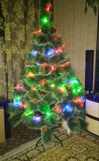 Похвастайся своей ёлкой