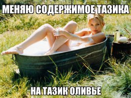 Меняю селёдку под шубой,оливье,гнездо глухаря,морковно-майонезно-чесночный салат,греческий салат,пять видов корейских,грузди солёные на эту голую девку.:)