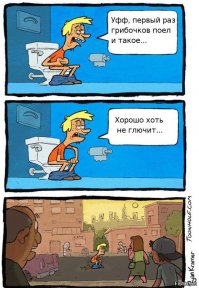 Самые красивые грибы в мире