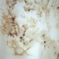 Снег о-очень крупно :)