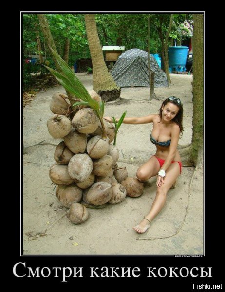 люблю кокосы
