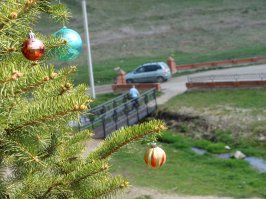 Ёлка, правда, не моя. Она растёт у часовни рядом со святым источником  в Тульской области и нарядная круглый год. На фото - май. 
 В свете последних природных событий, как нынешний декабрь!