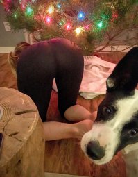 Вот почему все ёлочные дела стоит поручать только девушкам