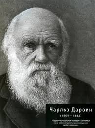 Премию в студию!