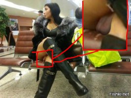 Подловили: кадры, которые заставят твой взгляд остановиться на несколько секунд