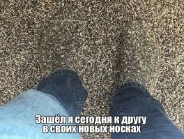 15 человек, идеально замаскировавшихся в окружающей среде