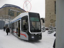 Так он на дровах