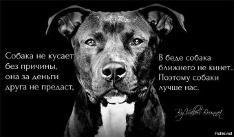 Можете меня минусить,но мнения своего я никогда не поменяю...