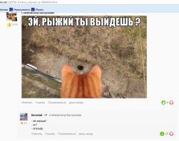 Комментарии фишкян