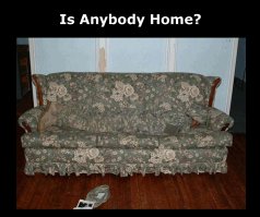 15 человек, идеально замаскировавшихся в окружающей среде