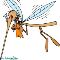 Туристический юмор. Поймет тот, кто бывал в походах 