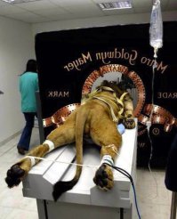 Закулисные кадры, которые меняют восприятие культовых фильмов