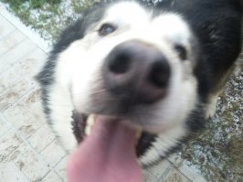 Сэлфи от Артика