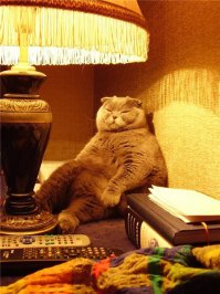 Тихий мальчик Ваня